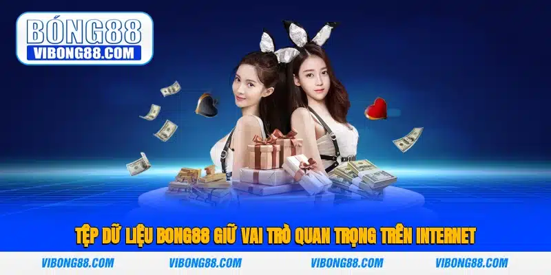 Tệp dữ liệu BONG88 giữ vai trò quan trọng trên internet